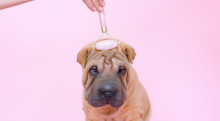 Blueberry Facial