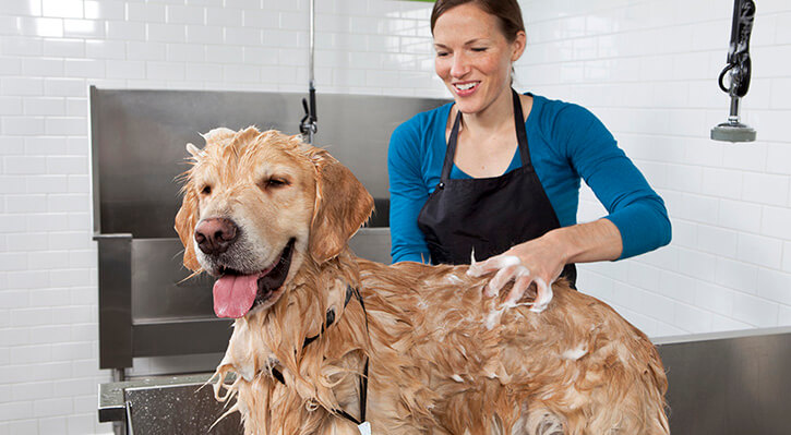 Full-Service Bath